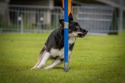 k-AGY Seminar 28-07-2024 36