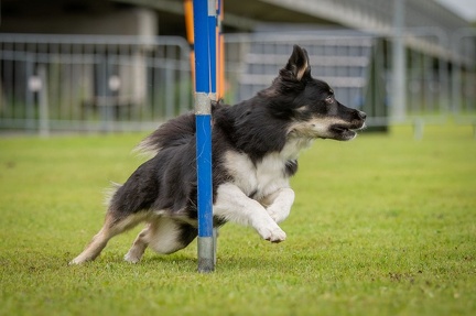 k-AGY Seminar 28-07-2024 37