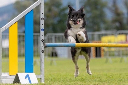 k-AGY Seminar 28-07-2024 38