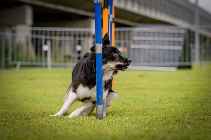 k-AGY Seminar 28-07-2024 39