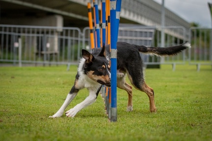 k-AGY Seminar 28-07-2024 42