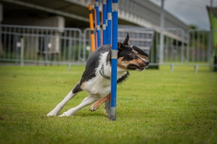 k-AGY Seminar 28-07-2024 43