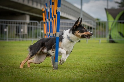 k-AGY Seminar 28-07-2024 44