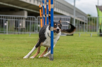 k-AGY Seminar 28-07-2024 47