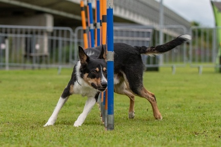 k-AGY Seminar 28-07-2024 46