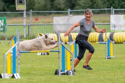 k-AGY Seminar 28-07-2024 50