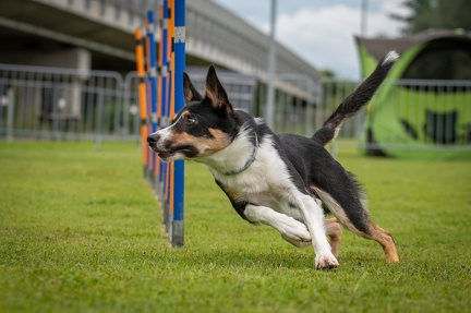 k-AGY Seminar 28-07-2024 49