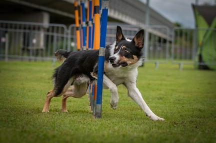 k-AGY Seminar 28-07-2024 48