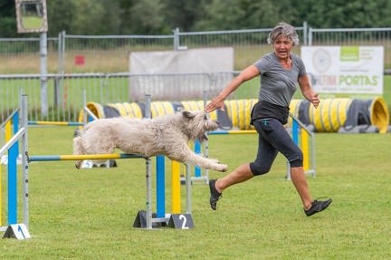 k-AGY Seminar 28-07-2024 51