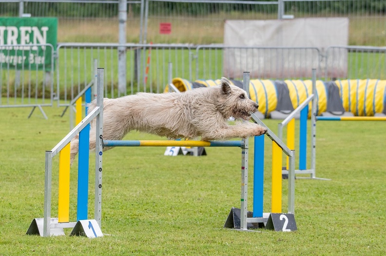 k-AGY Seminar_28-07-2024_52.jpg