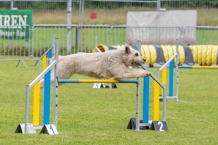 k-AGY Seminar 28-07-2024 52