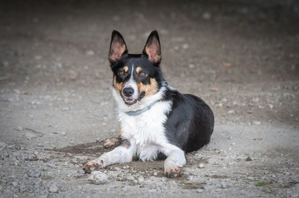 k-AGY Seminar 28-07-2024 62