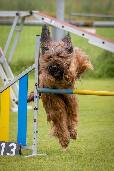 k-AGY Seminar_28-07-2024_64.jpg