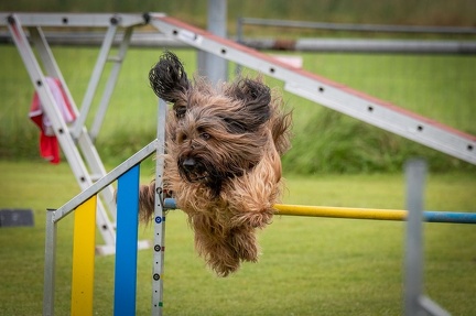 k-AGY Seminar 28-07-2024 65