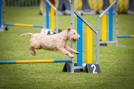 k-AGY Seminar 28-07-2024 68