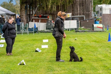 k-RO Westcup 15-09-2024 012