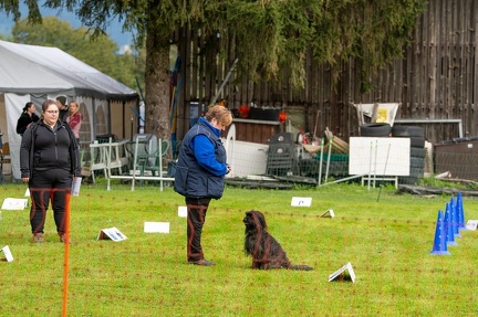 k-RO Westcup 15-09-2024 016