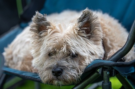 k-RO Westcup 15-09-2024 023