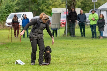 k-RO Westcup 15-09-2024 028