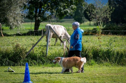 k-RO Westcup 15-09-2024 038