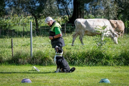 k-RO Westcup 15-09-2024 045