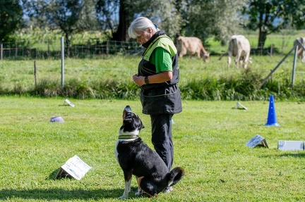 k-RO Westcup 15-09-2024 048