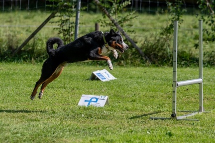 k-RO Westcup 15-09-2024 050