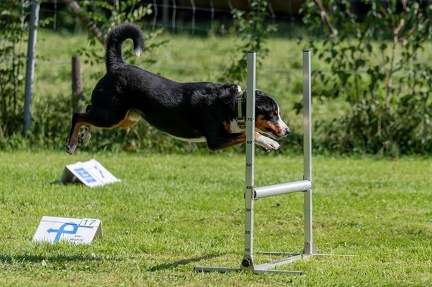 k-RO Westcup 15-09-2024 051