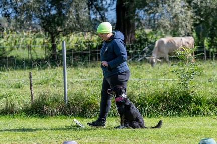 k-RO Westcup 15-09-2024 052