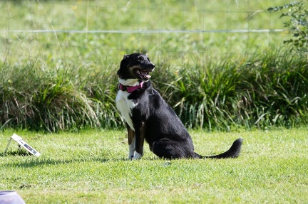 k-RO Westcup 15-09-2024 053