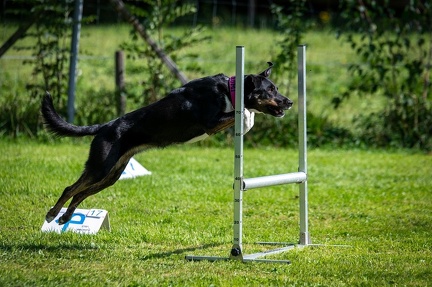 k-RO Westcup 15-09-2024 056