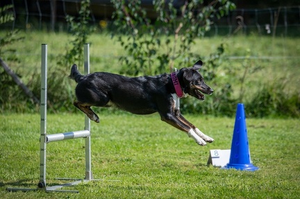 k-RO Westcup 15-09-2024 057