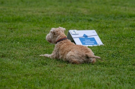 k-RO Westcup 15-09-2024 064