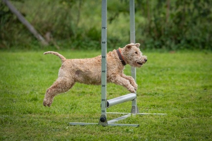 k-RO Westcup 15-09-2024 069