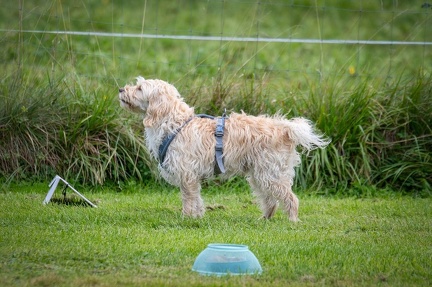 k-RO Westcup 15-09-2024 072