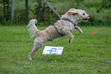 k-RO Westcup 15-09-2024 077