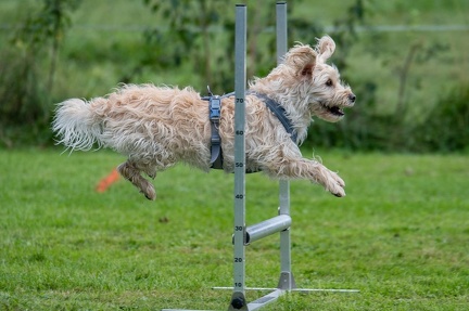 k-RO Westcup 15-09-2024 078