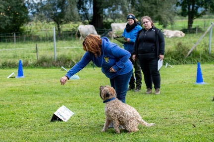 k-RO Westcup 15-09-2024 082