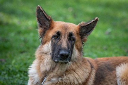 k-RO Westcup 15-09-2024 088