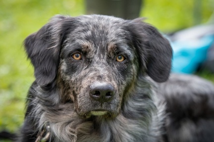 k-RO Westcup 15-09-2024 089