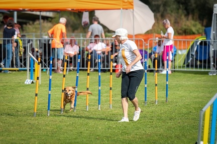 k-AgyTurnier 22-09-2024 162