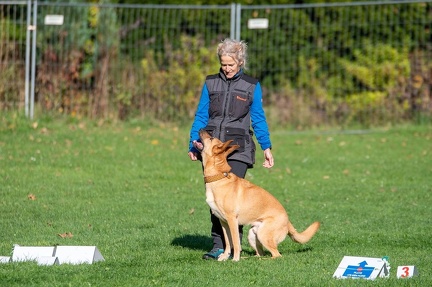 k-RO Kundel 12-10-2024 03