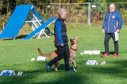 k-RO Kundel 12-10-2024 05