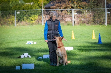 k-RO Kundel 12-10-2024 07