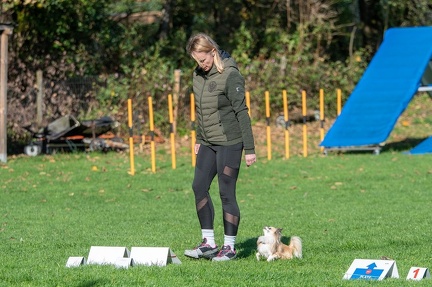 k-RO Kundel 12-10-2024 08