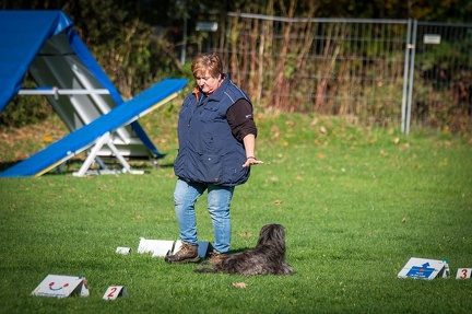 k-RO Kundel 12-10-2024 10