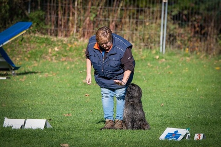 k-RO Kundel 12-10-2024 12