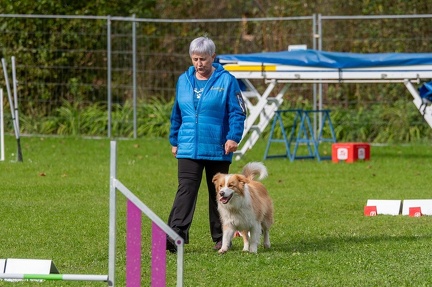 k-RO Kundel 12-10-2024 23