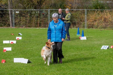 k-RO Kundel 12-10-2024 28