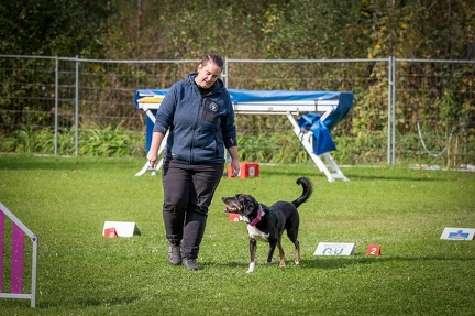 k-RO Kundel 12-10-2024 29